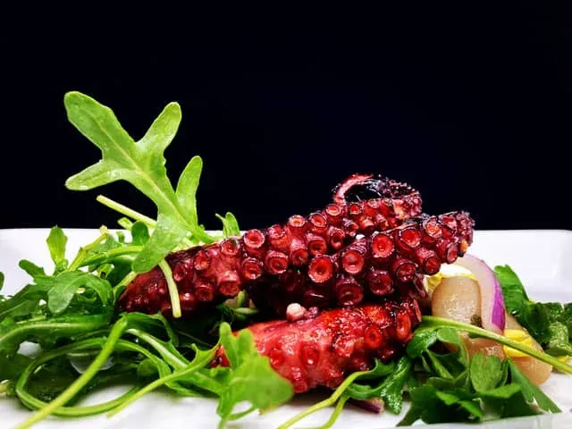 Blæksprutte gourmet salat
