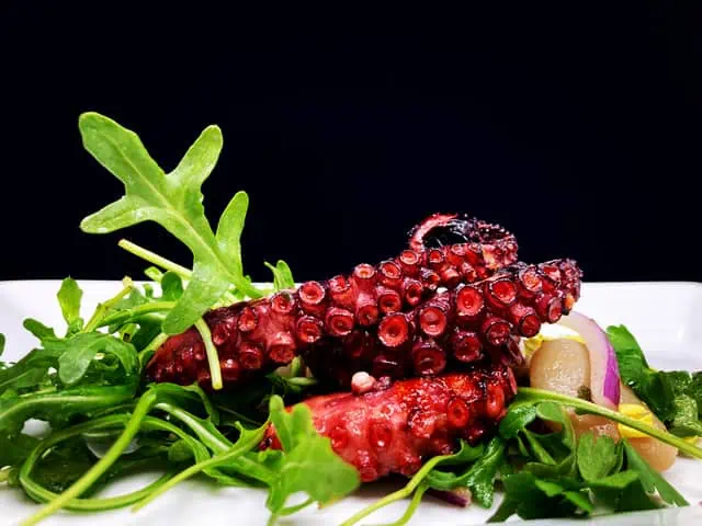 Octopus gourmet salad